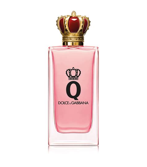 q by dolce gabbana